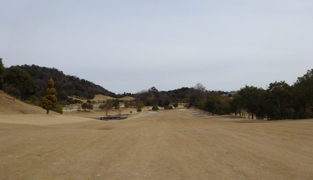 dsc00120