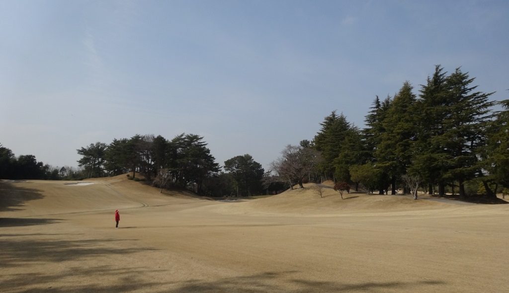 dsc00156