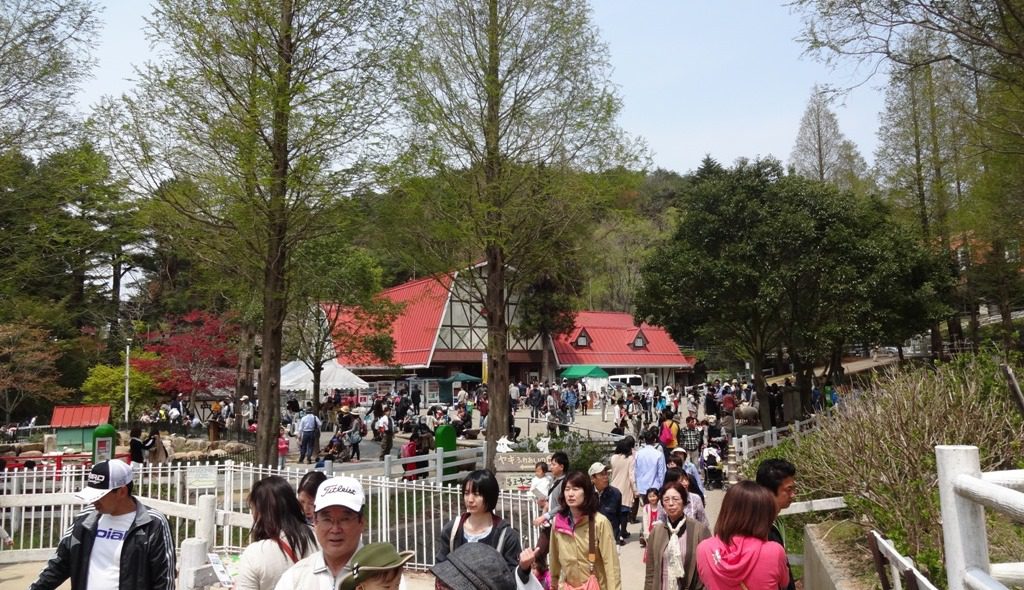 dsc03096