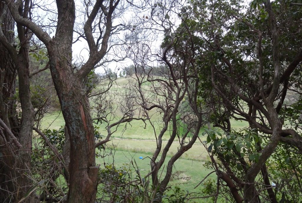 dsc03115