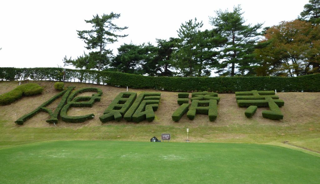 p1000568