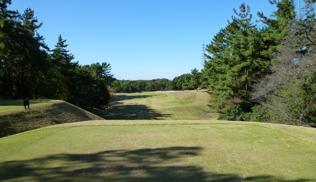 p1000651