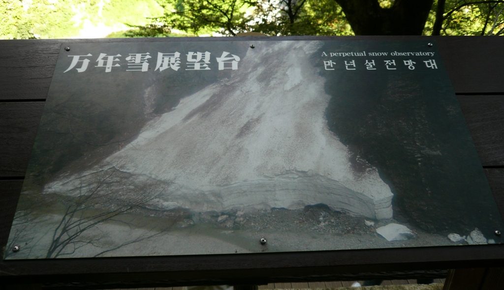 p1030078
