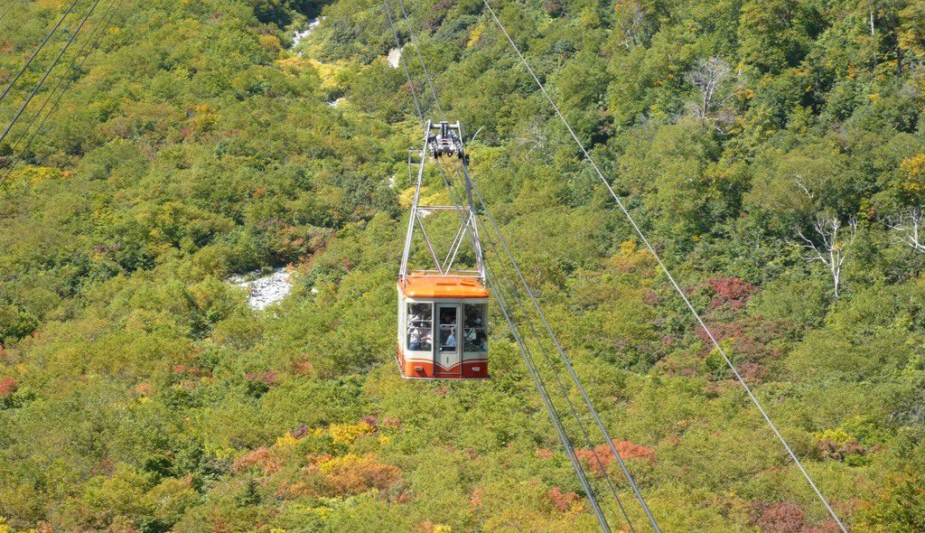 p1030175
