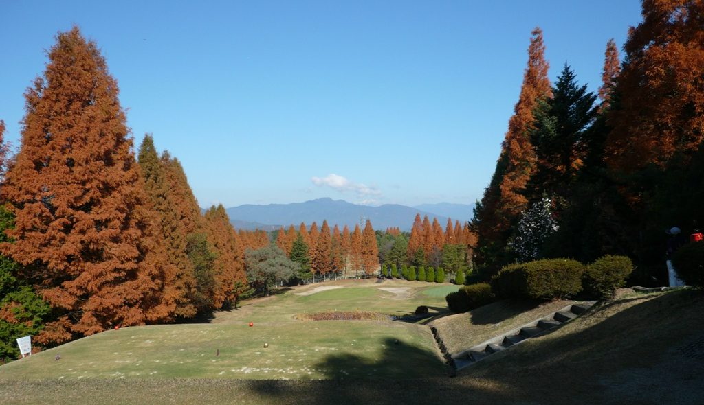 p1030560