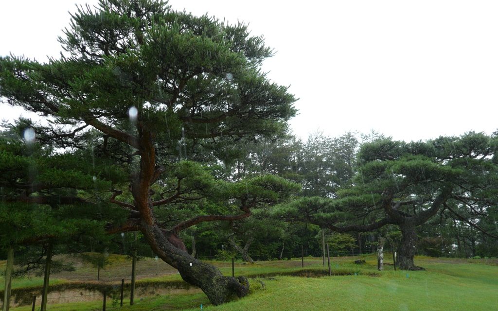p1050493