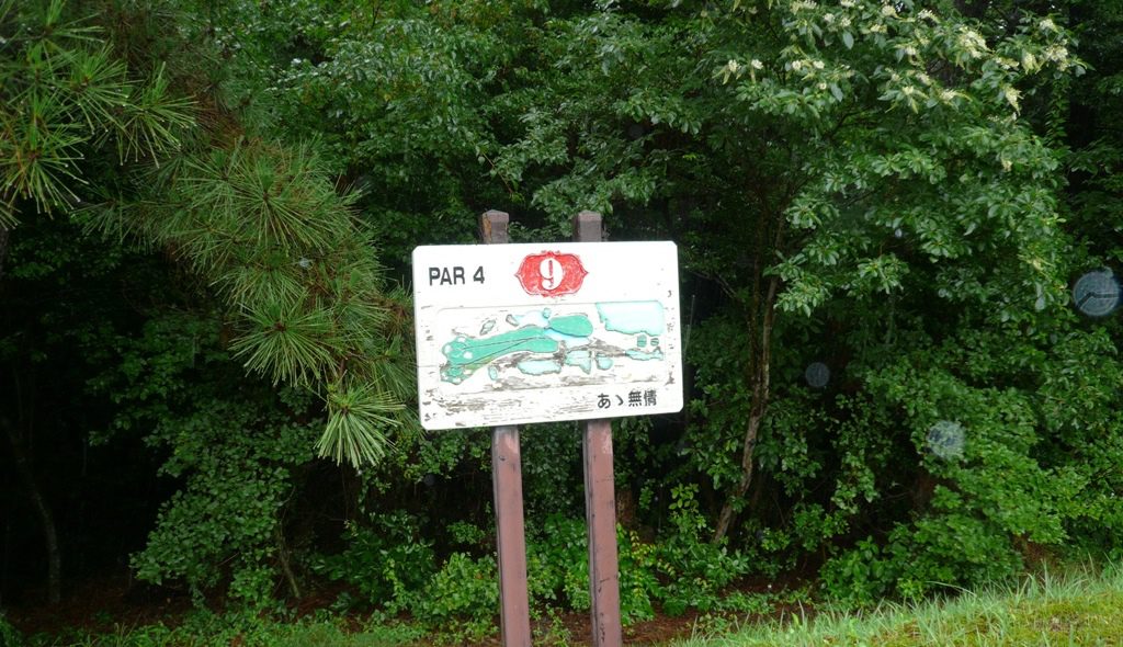 p1050496