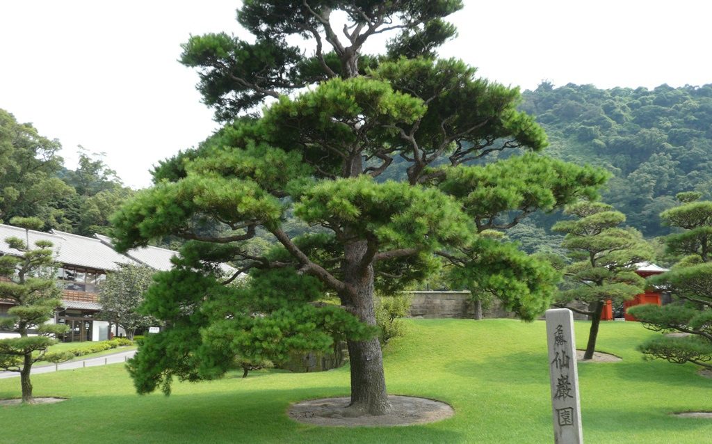 p1050710