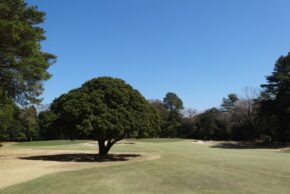 静岡カントリー島田コース