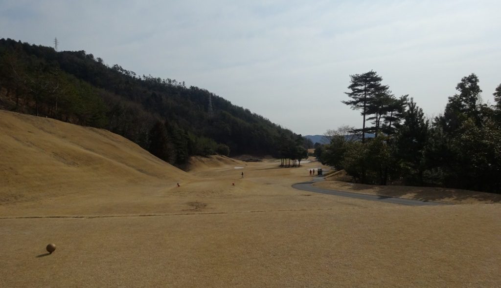 tanigumi3