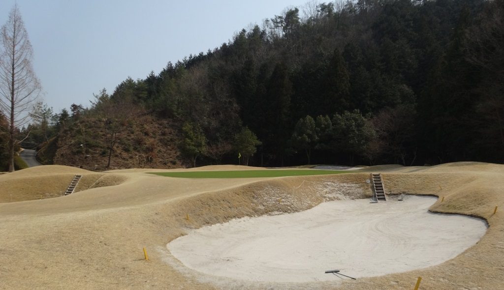 tanigumi5
