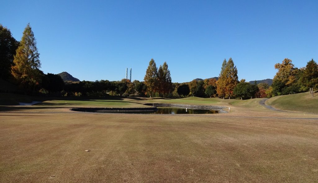 dsc02299