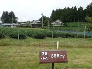dsc03950