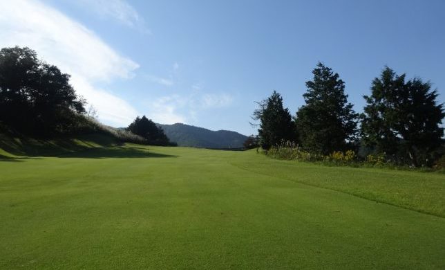 dsc04096-644x483