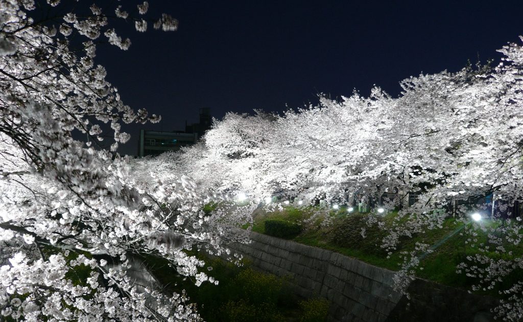 p1010619