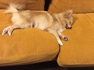 img_0851