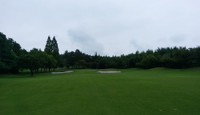 DSC_1811