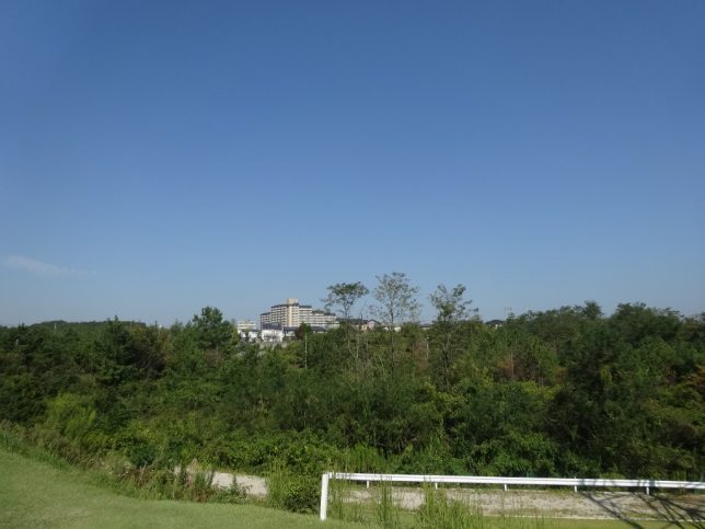 DSC06073