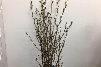 涼仙ゴルフ倶楽部