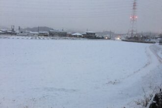 本日朝も雪ですね