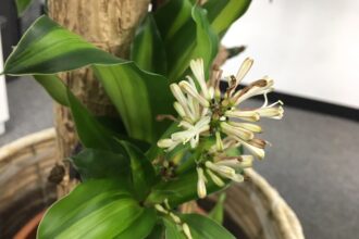 南山カントリークラブでラウンドしました