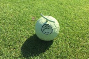 浜松シーサイドで楽々乗り入れゴルフ