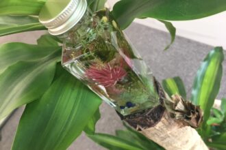ローモンドカントリー倶楽部