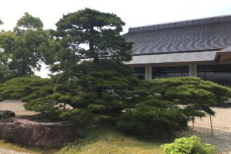 明智ゴルフ倶楽部　ひるかわゴルフ場（夏の親睦会）