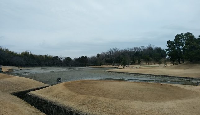 IMG_20190306_092745