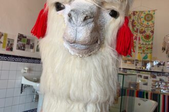 中京ゴルフ倶楽部でラウンド