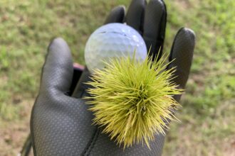 小さい秋見つけました♪