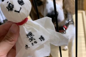 稲武カントリークラブでラウンド