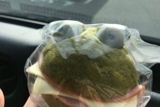 パインズゴルフクラブで小春日和ゴルフ