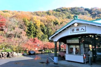 瑠璃光院　秋の特別拝観
