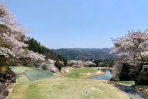 桜！桜！桜！