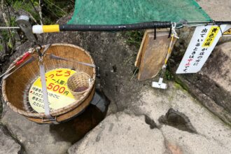 久しぶりの日本ラインゴルフ倶楽部