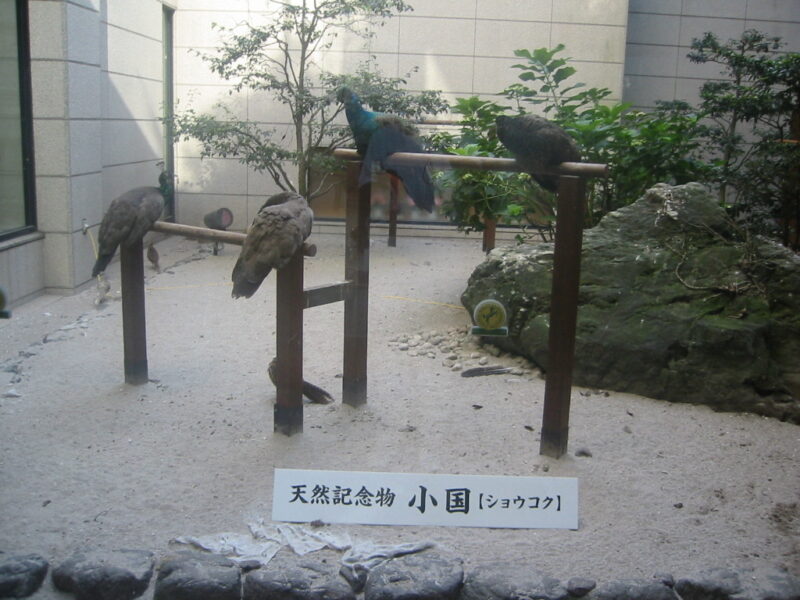 東建多度カントリークラブ・名古屋