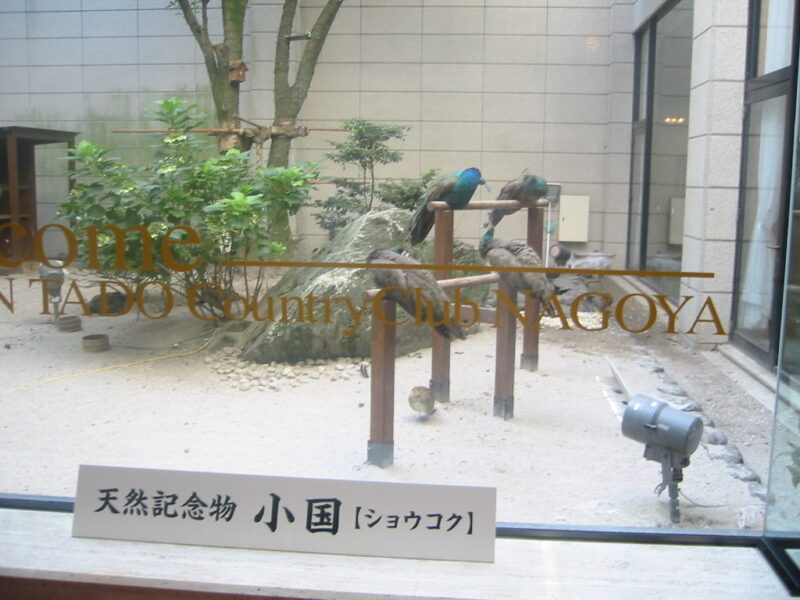 東建多度カントリークラブ・名古屋