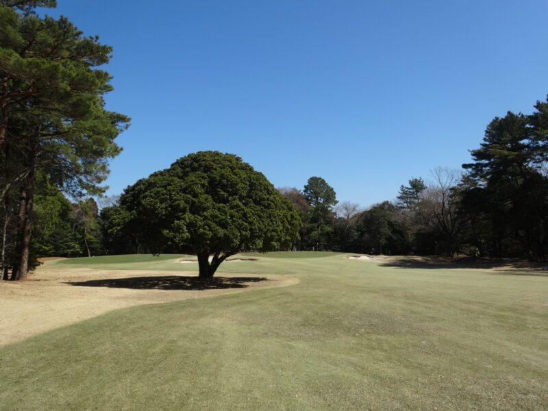 静岡カントリー島田ゴルフコース