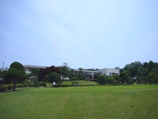 名義変更停止