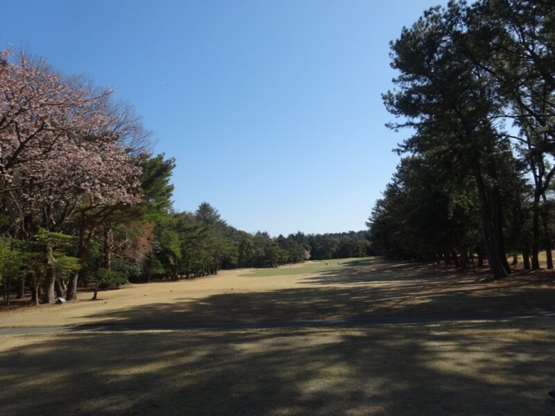 静岡カントリー島田ゴルフコース