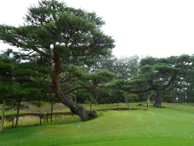 南山カントリークラブ