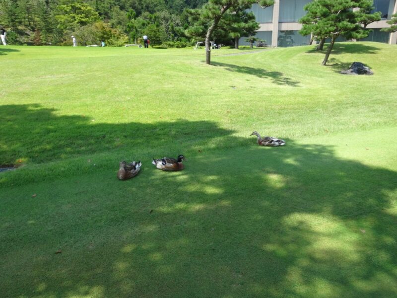 三甲ゴルフ倶楽部 谷汲コース
