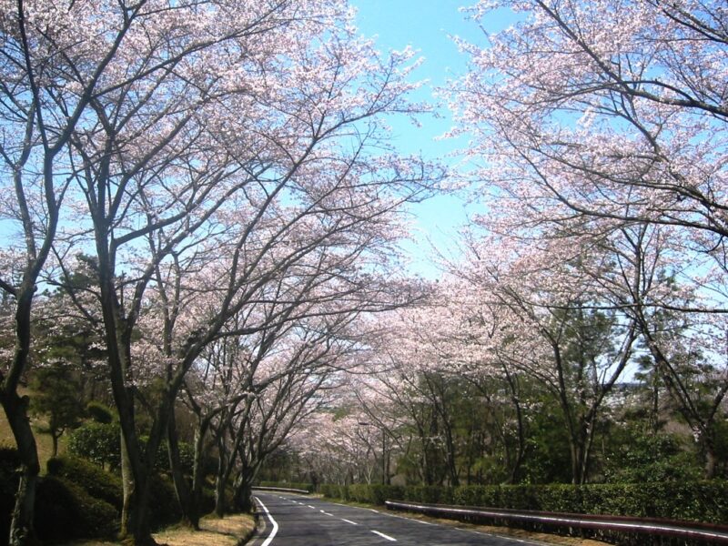 多治見カントリークラブ